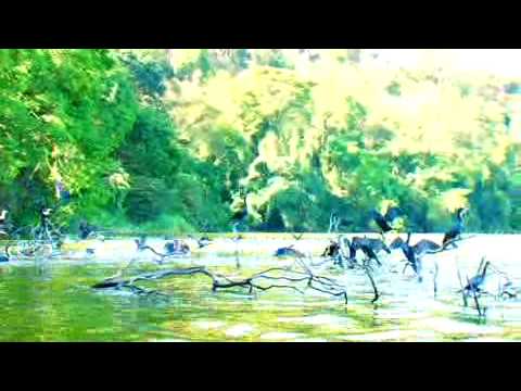 Lake Duluti Serena Hotel