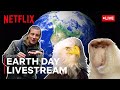 🔴 LIVE! Celebrate Earth Day w/ Bear Grylls, Absurd Planet, You vs. Wild & More! 🌍 Netflix Futures