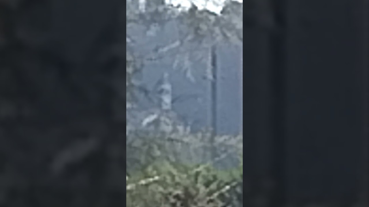 Vigilia della Festa della Madonna (6/09/2025) - Santuario di Imbersago (LC)