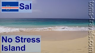 No Stress Island...: Sal [23x03]