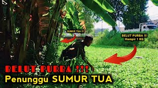 HEBOH !!! TERTANGKAPNYA BELUT PURBA DI SAMPING SUMUR TUA