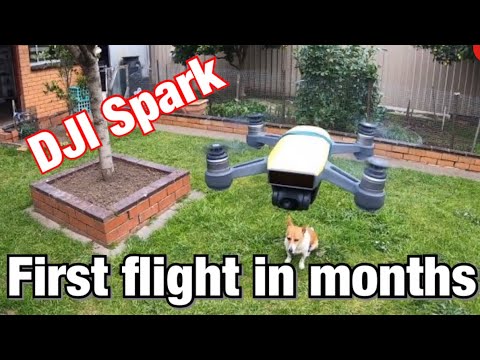 dji spark first flight
