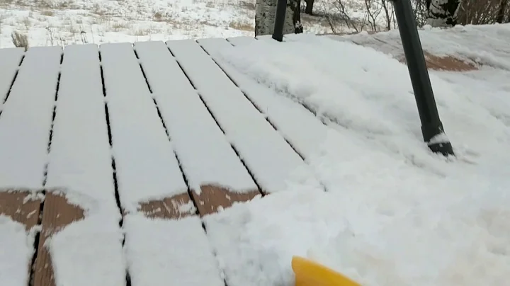 Shoveling snow with Willie