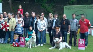 WP 20140509 17 23 04 Pro