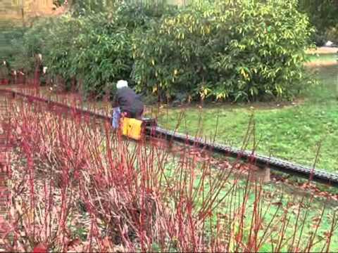 5 inch gauge 'Invicta' steam locomotive on the Goffs Park 