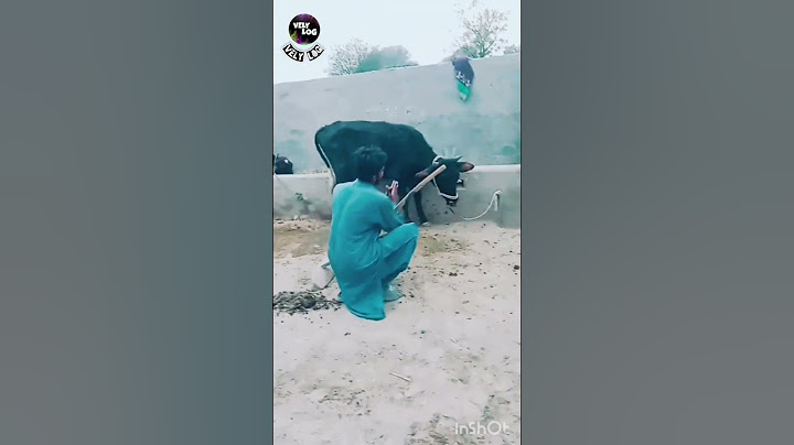 Dangrha na Mahnu rakhya ya ma danhgar no 😀😅🤣#funny #funnyshorts #funnyvideo #comedy