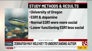 Zebrafish May Hold Key To Understanding Autism