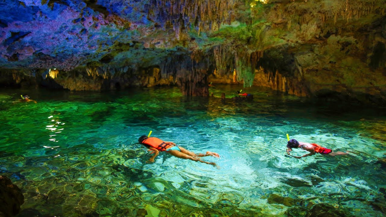 Top 5 Tours in Akumal, Mexico YouTube