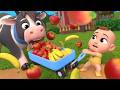 Yummy Fruits! Apples and Bananas & Hungry Animals | Nursery Rhymes Collection