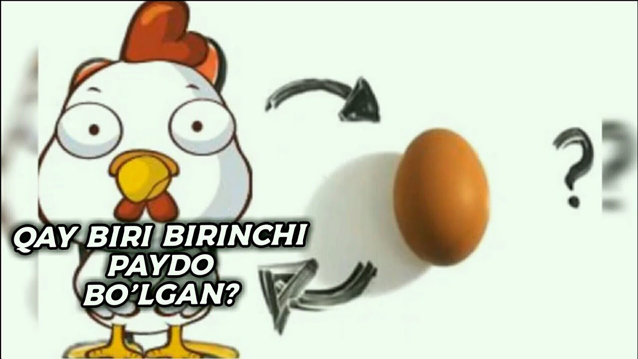 Yalangoch va tukli vaginalarning fotosuratlari