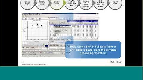 Infinium Genotyping: Introduction to GenomeStudio 2.0 Polyploid Genotyping Module