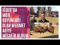 Iğdır&#39;lı Aileye Misafir Oldum