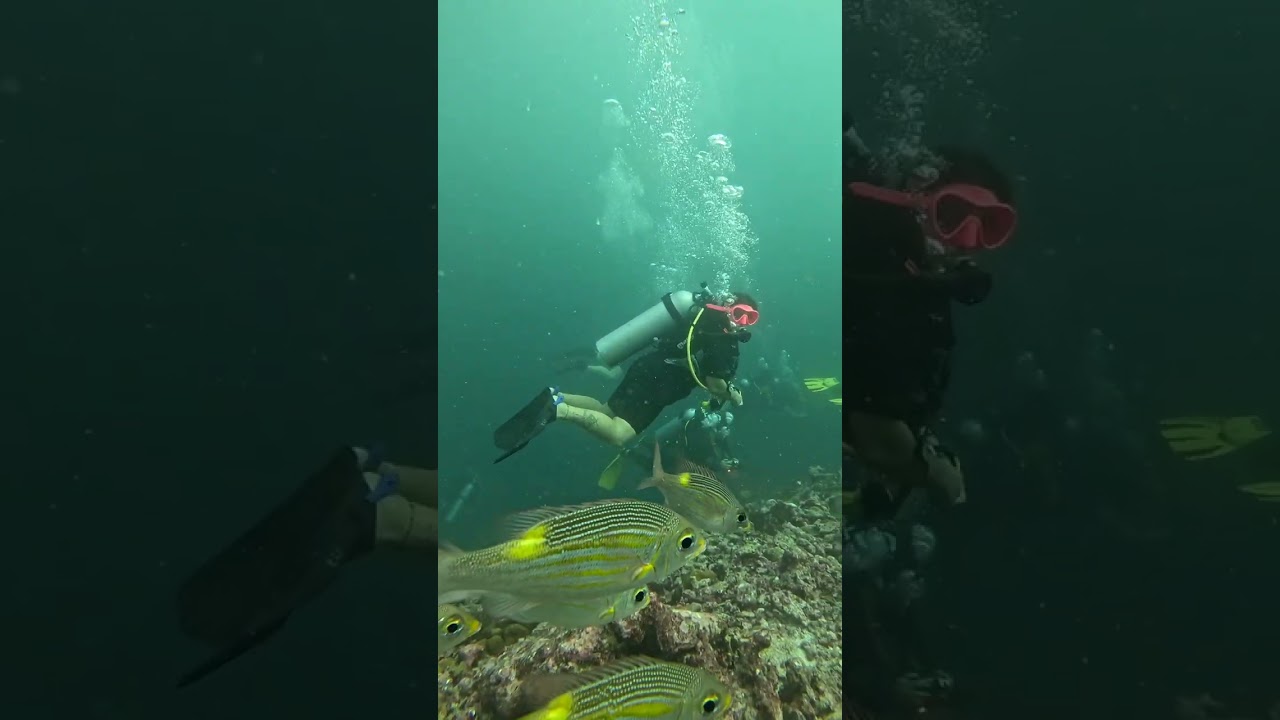 🌊 Dive Into Adventure with Us! 🌊