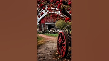 #Quran #islam #تلاوة_خاشعة #قرآن_كريم #اذكار #دعاء #دعاء_الصباح #اذكار_الصباح