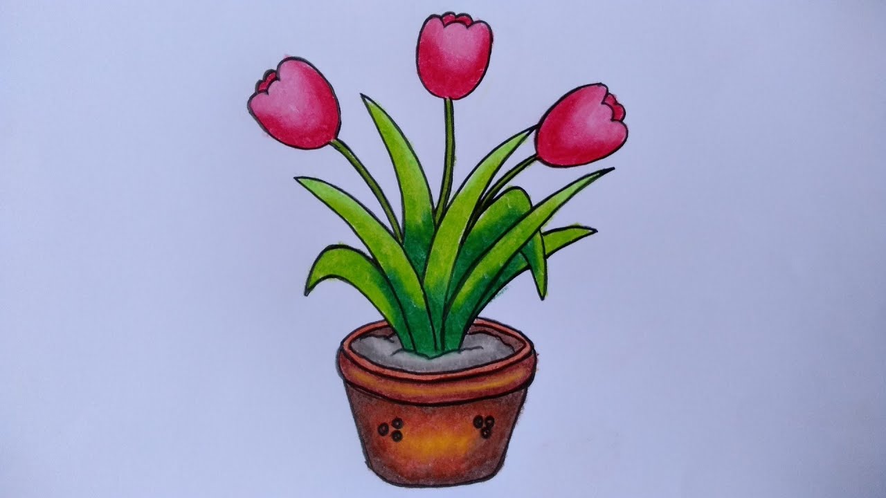 Menggambar bunga tulip Cara menggambar bunga di pot 