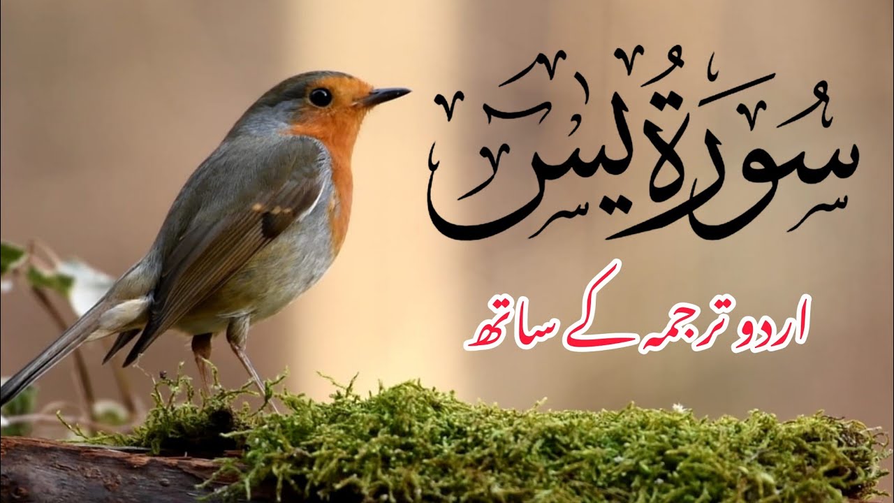 Surah Yasin | Episode 165 | Powerful Recitation | Urdu Tarjuma | Soothing Voice