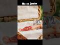 No es jamón #hamsters #picnic #terrordebolsillo #horror #pets