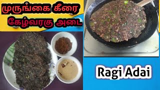 சத்தான ராகி முருங்கை கீரை அடை | Murungai Keerai kelvaragu Adai | Ragi Adai recipe in Tamil