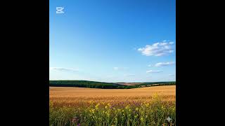 MusicㅣSkyline shadow #music #음악