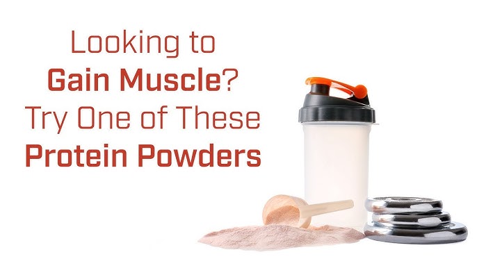 5 Ways To Select The Ideal Protein Powder For Muscle 2024