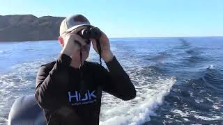 Sirius 12 Binoculars