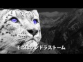 冷虎 Hyettiger