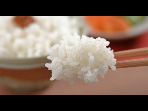 Receita Shari Arroz Japones