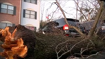 Severe storm rips through NJ damaging buildings, downing trees