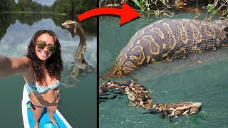 9 Most Terrifying Snake Encounters!