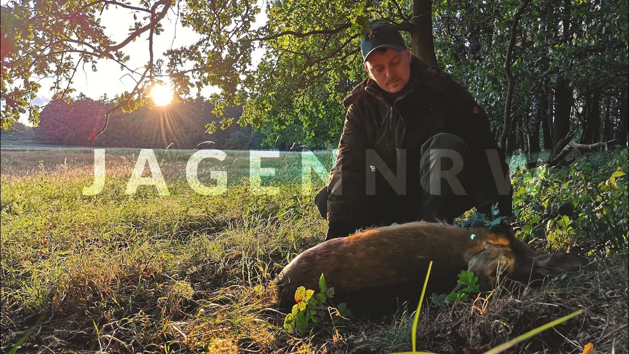 Florians erstes Stück Damwild - Jagd bei den Hunterbrothers - jagenNRW story #11