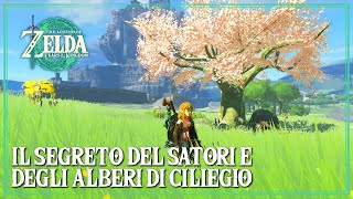 Il Segreto del Satori e degli Alberi di Ciliegio Zelda Tears of the Kingdom screenshot 4