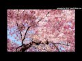Sonoko Inoue feat. Kaizaki Arata - Sakura (さくら)
