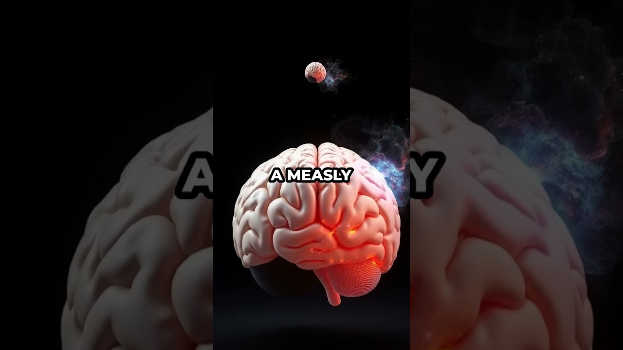 Bloodhound’s Nose Solves Crimes: Real Courtroom Detective Dog! 🐾