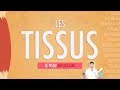 LES TISSUS: LE TISSU MUSCULAIRE (Partie 2)