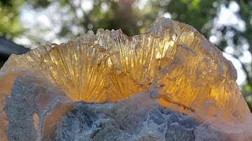 2 Million Year Old Fossil Clams I Found FILLED with HONEY CALCITE! (Hunting Video Coming Soon)