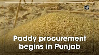 Paddy procurement begins in Punjab