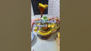 आपका दुख महादेव ही मिटा सकते है 😇🤔 #pradeepmishrajidhankeupay #ytshorts #trending #facts