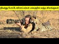 போட்டோகிராப்பர்களை கதறவிட்ட விலங்குகள் | When Animals Surprised Photographers | Tamil Amazing Facts