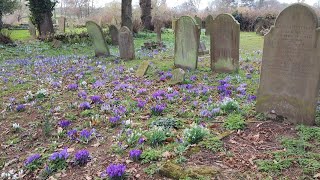 2023.02.26 *1 Beautiful Spring in Abbey Fields Park