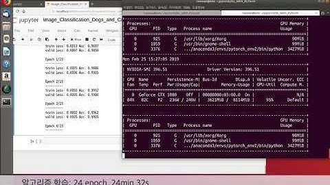 PyTorch로 시작하는 딥러닝: 3장. ResNet 이미지 분류기 데모