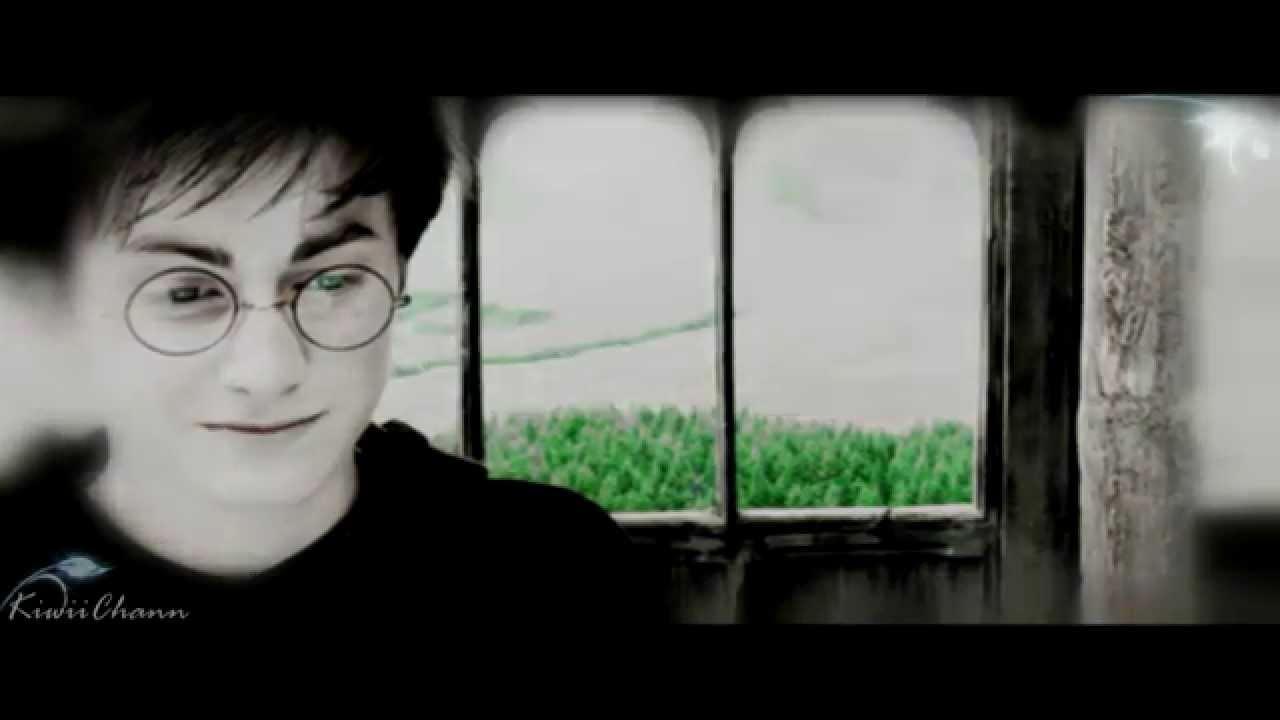 Harry Potter | 