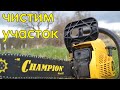 Вырубка деревьев на участке | Бензопила Champion 241