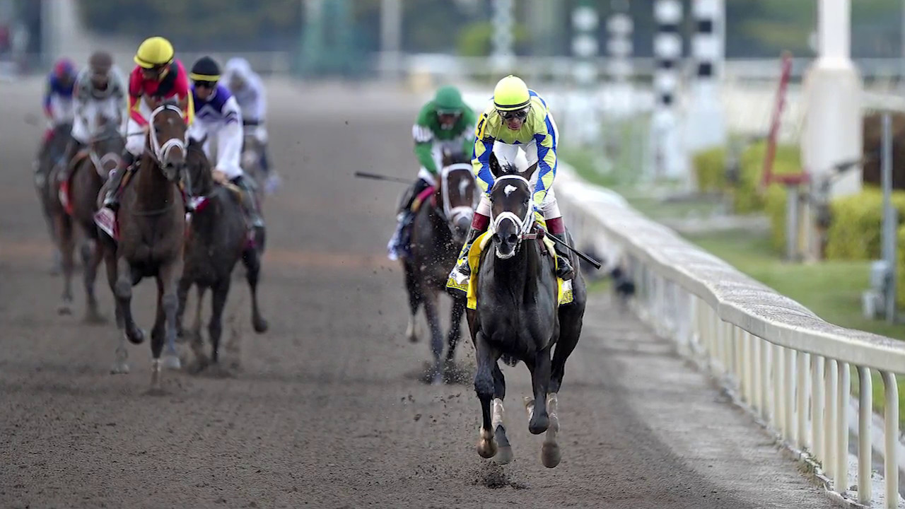 Always Dreaming 2017 Kentucky Derby Favorites Preview YouTube