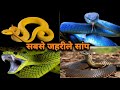      most poisonous snake