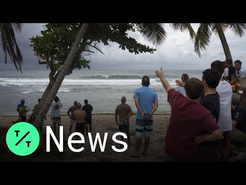 Video: Spayathon In Puerto Rico Zal Naar Verwachting Meer Dan 20.000 Katten En Honden Helpen