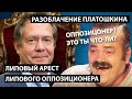 Разоблачение Платошкина. Липовый арест липового оппозиционера.