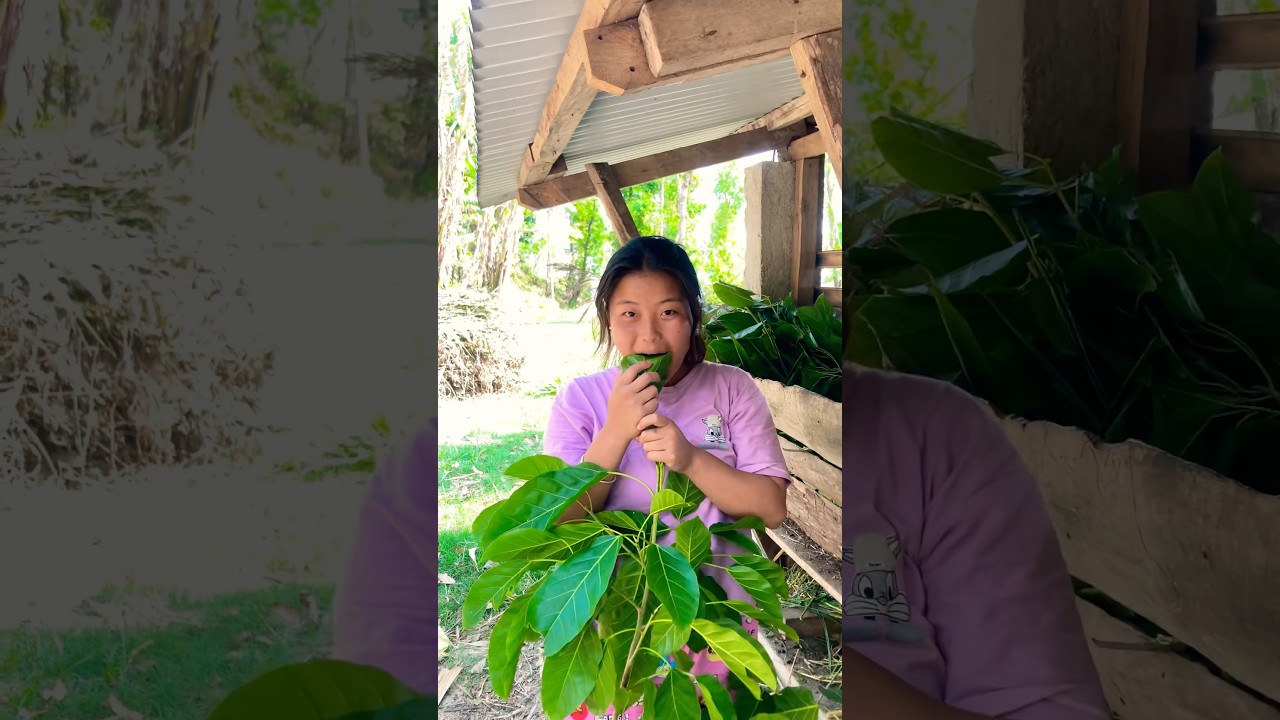 K vako yo ( mero nanda ) aachanak bakhrako ghas khadai 🥵🥵🥹🥹😡😡 