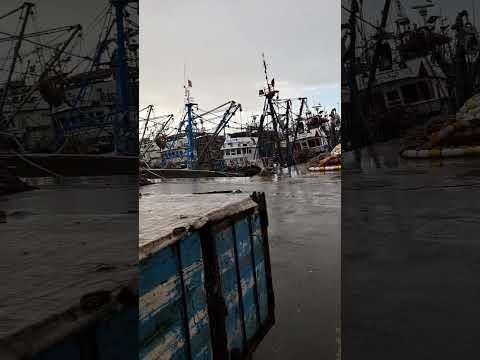 الأجواء شتوية اليوم 2026 1 6 Explore لاتنسونا بلايك وبارطاج ليصلكم الجديد 