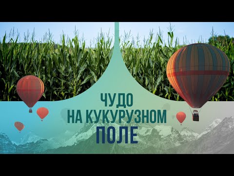 Чудо на кукурузном поле: как нашему пилоту удалось посадить аварийный самолет?