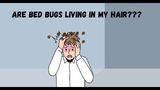 Can Bed Bugs Live In Your Hair